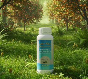 سیلیکات پتاسیم