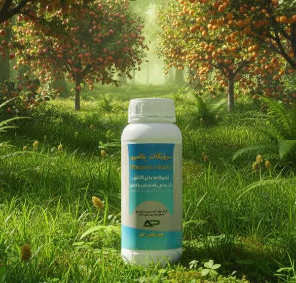 سیلیکات پتاسیم