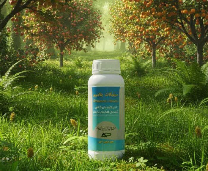 سیلیکات پتاسیم